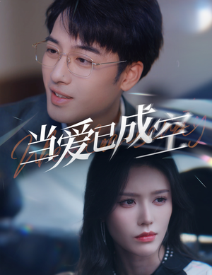 当爱已成空（30集）在线免费观影