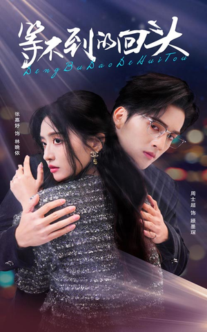 等不到的回头（35集）爆款热门短剧