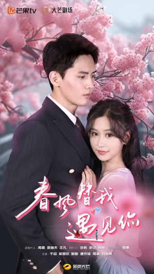 春风替我遇见你（100集）精彩短剧随心推