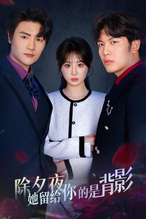 除夕夜她留给你的是背影（30集）在线播放