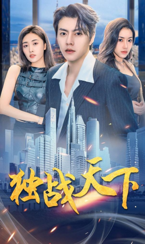 独战天下（73集）全季一次看完