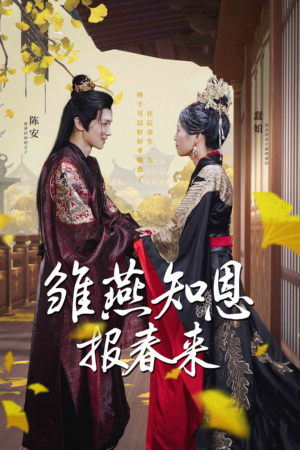 雏燕知恩报春来（36集）在线免费观看