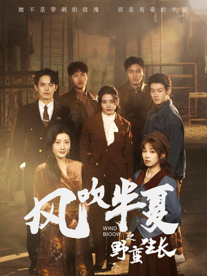 风吹半夏之野蛮生长（59集）短剧小说在线看