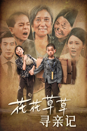 花花草草寻亲记（42集）精彩连连免费看