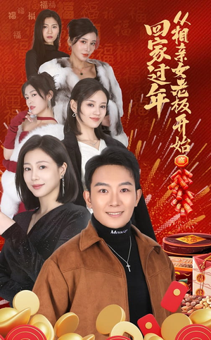 回家过年从相亲女老板开始（64集）完整版