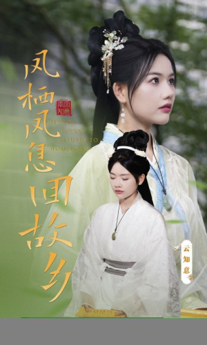 凤栖凤息回故乡（36集）大结局太过瘾了