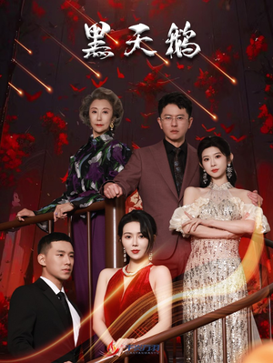 黑天鹅（51集）全网独播免费看