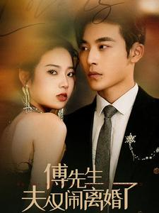 傅先生夫人又闹离婚了（80集）好看短剧推荐