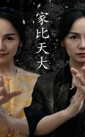 家比天大（63集）看短剧放松一下