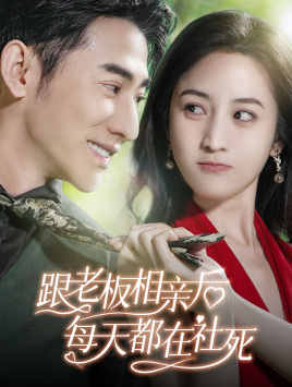 跟老板相亲后每天都在社死（83集）穿越短剧推荐