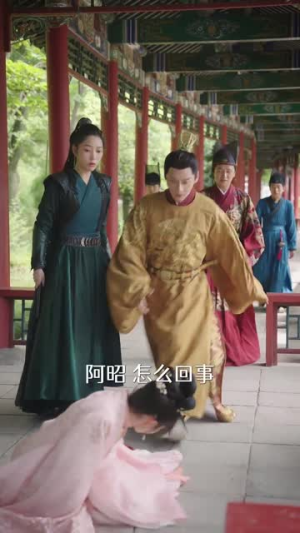 宫女扶摇录（52集）短剧免费观看