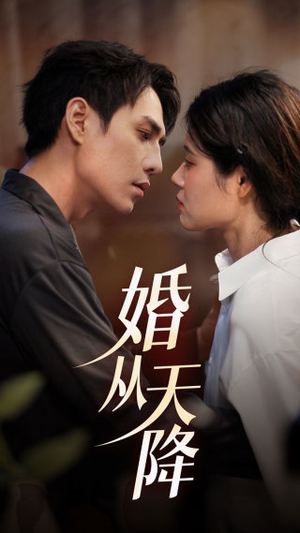 婚从天降（92集）全集免费观看