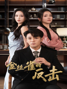 金丝雀的反击（33集）全集