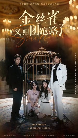 金丝雀又组团跑路了（长篇）高分推荐免费看