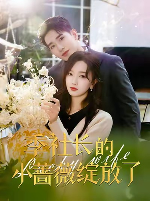 季社长的小蔷薇绽放了（60集）热门短剧分享