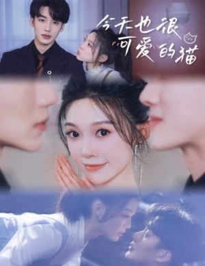 今天也很可爱的猫（72集）短剧太精彩