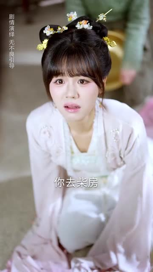 锦绣美人谋（67集）在线观看