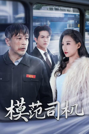 模范司机（30集）好看的短剧