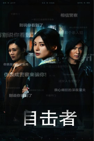 目击者&深夜伪装（30集）完整版