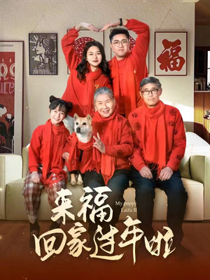 来福回家过年啦（34集）怎么看全集