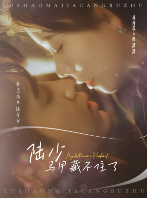 陆少马甲藏不住了（63集）爆款热门短剧