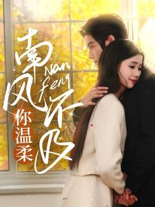 南风不及你温柔（74集）看过的人都说好
