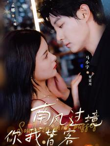 南风国境你我皆客（80集）抢先看热门短剧