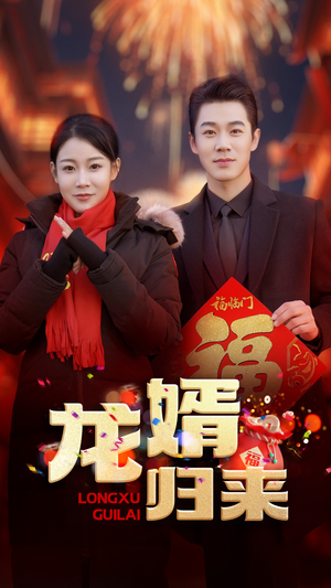 龙婿归来（27集）短剧小说在线看