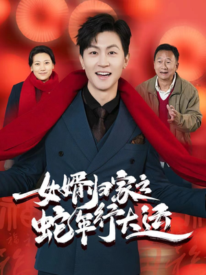 女婿归家之蛇年行大运（65集）好看吗