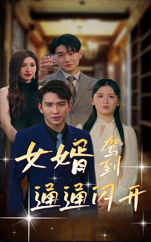 女婿驾到，通通闪开（34集）短剧介绍