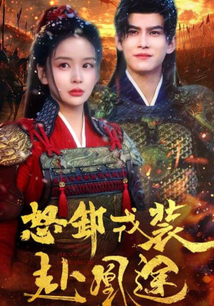 怒卸戎装赴凰途（70集）演的怎么样