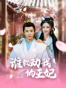 谁敢动我的王妃（62集）短剧免费看全集