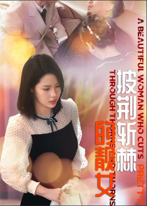 披荆斩棘的靓女（29集）演的怎么样