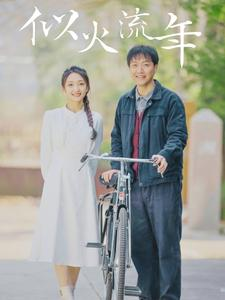 似火流年（100集）演的怎么样