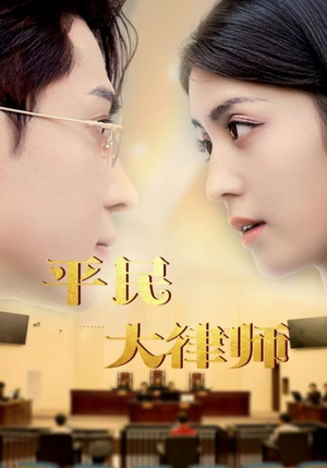 平民大律师（95集）短剧解说热门