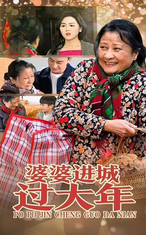 婆婆进城过大年（33集）演的怎么样