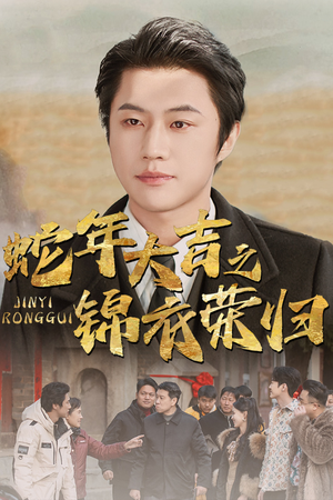 蛇年大吉之锦衣荣归（31集）全集一次看完