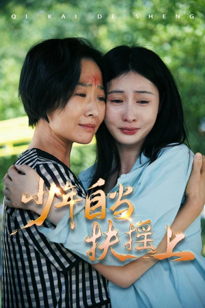 少年自当扶摇上（30集）怎么看全集