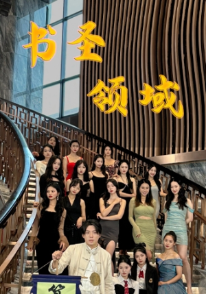 书圣领域（95集）短剧全集完整