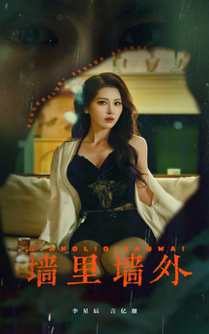 墙里墙外（55集）免费观看就是爽