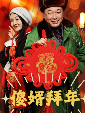 傻婿拜年（32集）短剧完整版免费