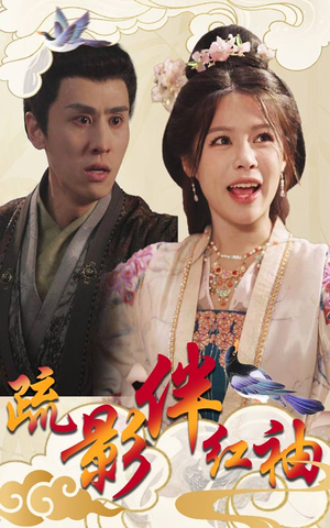 疏影伴红袖（40集）第三季