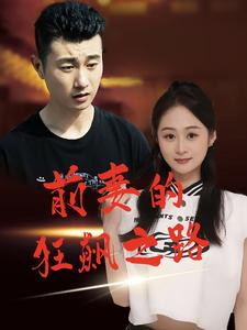 前妻的狂飙之路（92集）高清画质免费看