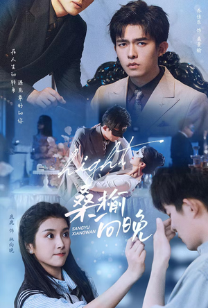 桑榆向晚（65集）热门短剧榜单