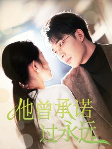 他曾承诺过永远（70集）短剧追不停