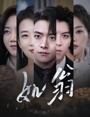 如翁（32集）番茄免费短剧