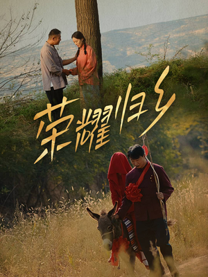 荣耀归乡（64集）短剧在哪个平台