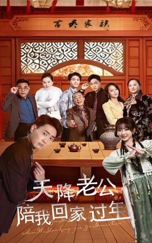 天降老公陪我回家过年（60集）精彩短剧天天看