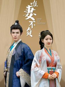 唯妻不负（80集）免费观看