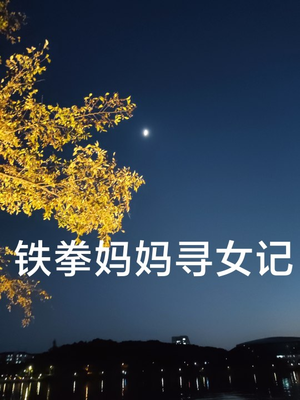 铁拳妈妈寻女记（69集）推荐你们也去看